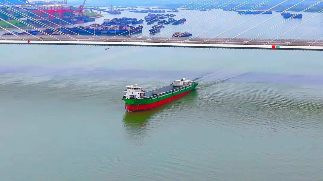 圖片4.png 圖片4.png